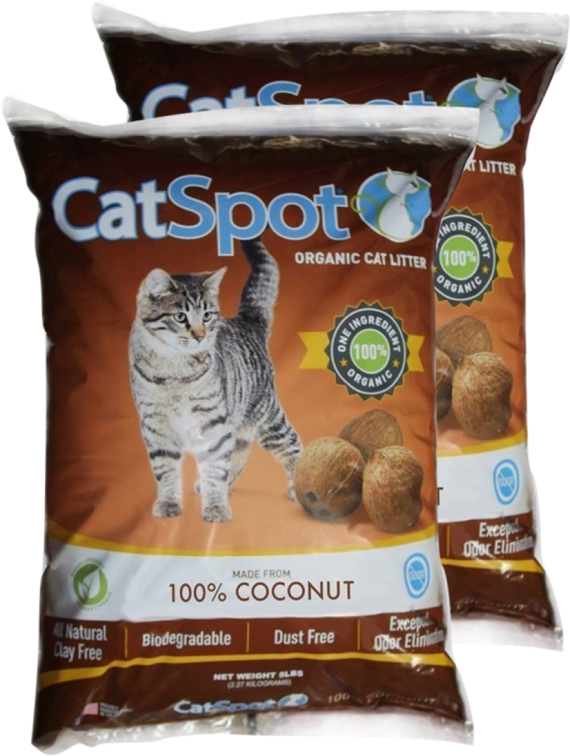 Refunds Are Only Offered On The Very First Purchase - Kitten (822x1089), Png Download