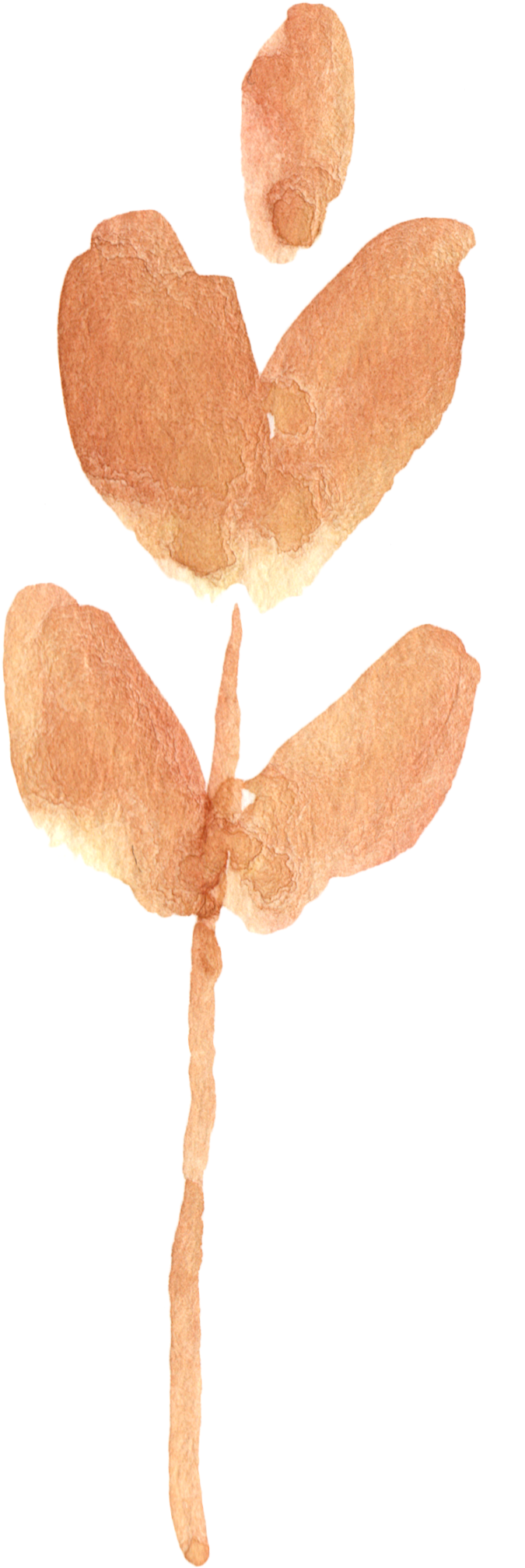 Free Fall Watercolor Floral Clip Art- So Pretty (708x2112), Png Download