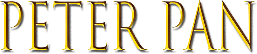 Peter Pan Title - We Forgive By June Foster 9781612528663 (paperback) (859x214), Png Download