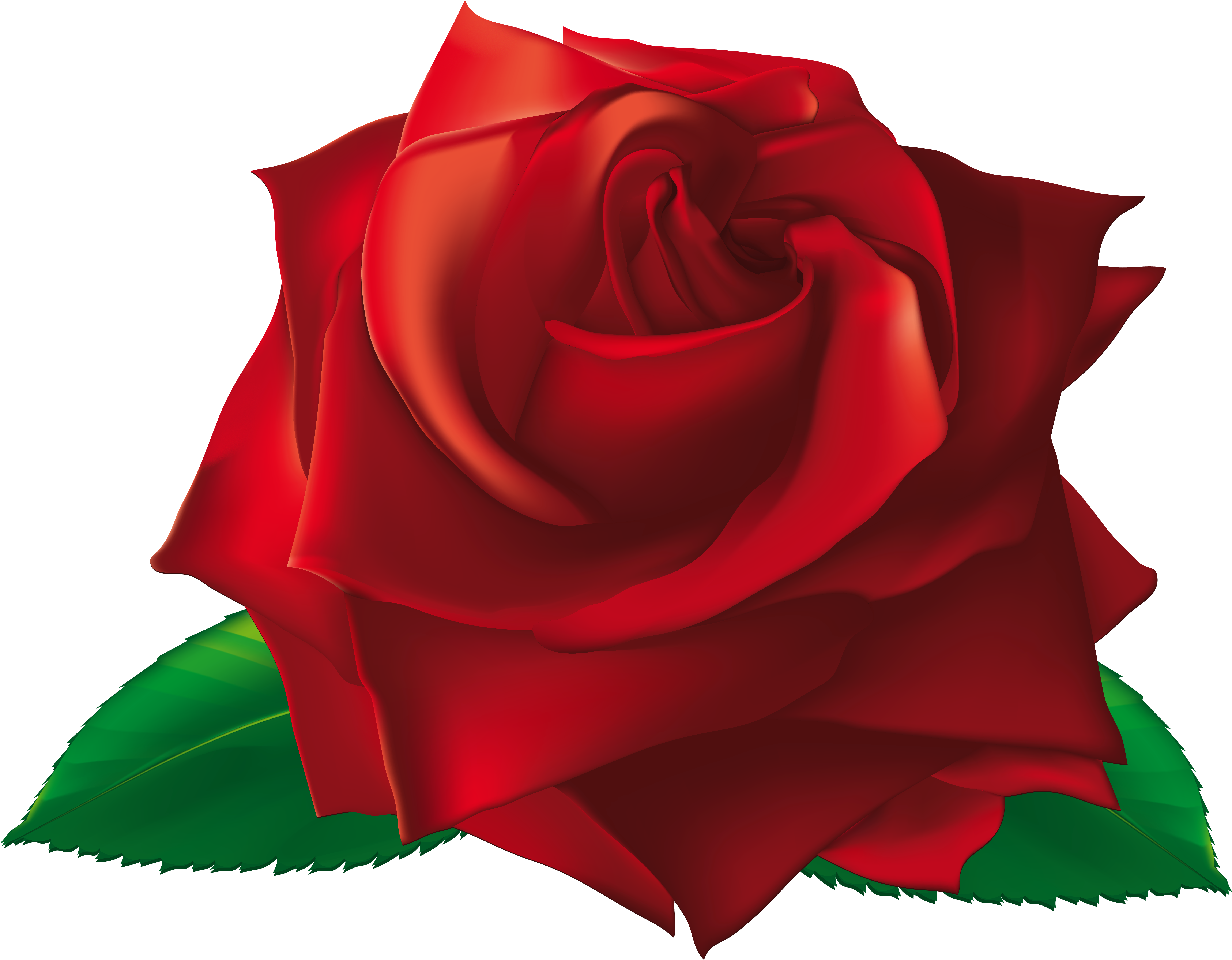View Full Size - Single Rose Flowers Png (5942x4628), Png Download