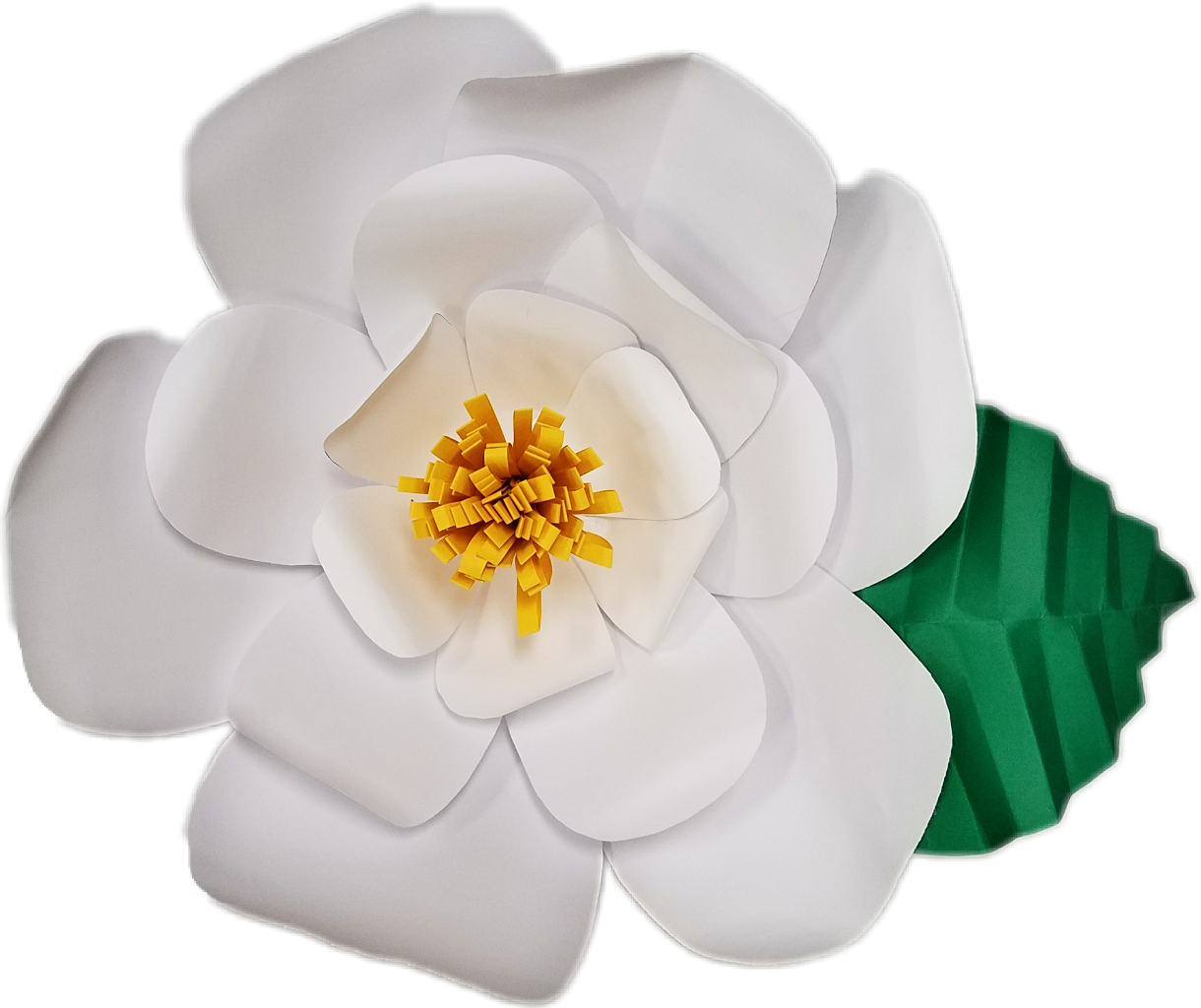 Magnolia Clipart Single - Paper (1220x1024), Png Download