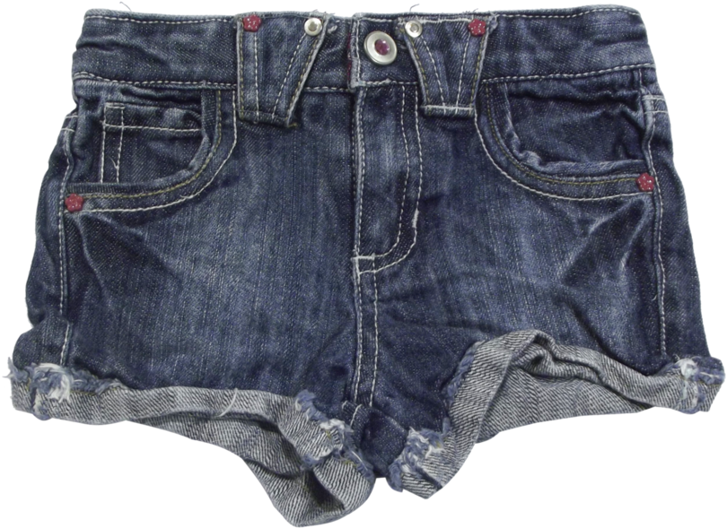 Niche Memes Transparent Png (1008x792), Png Download