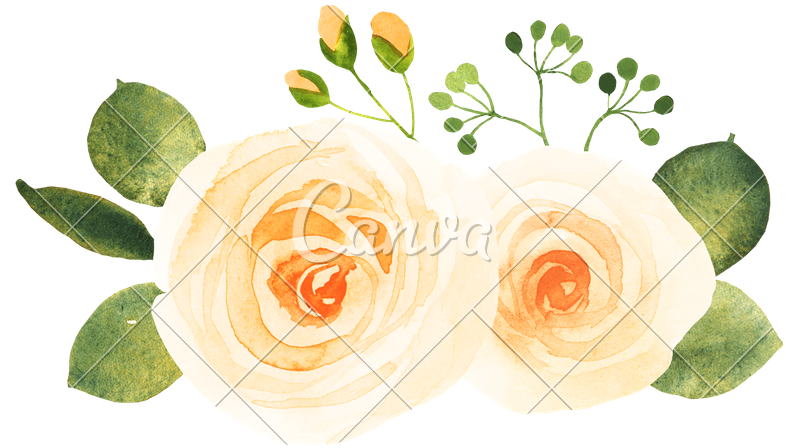 Yellow Roses Watercolor - Garden Roses (800x461), Png Download