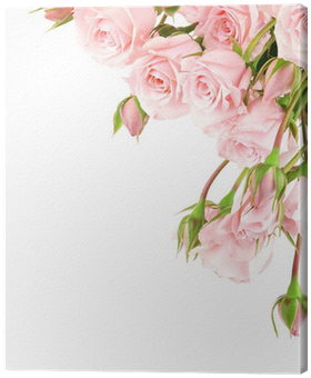 Pink Rose Border Clipart (400x400), Png Download