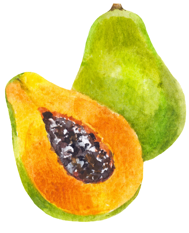 Hand Painted A Half Papaya Png Transparent - Papaya (1024x883), Png Download