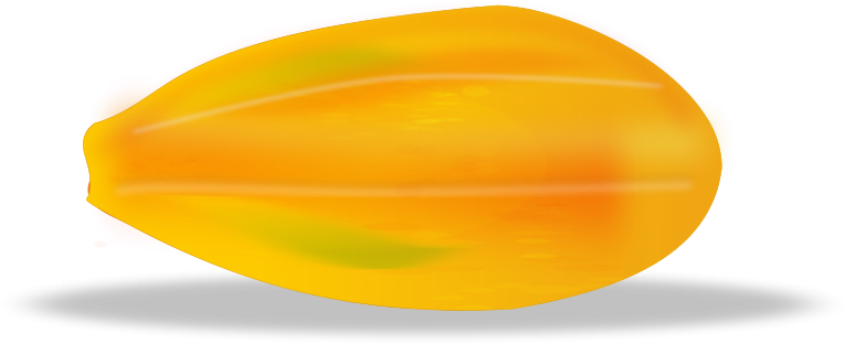 Free Vector Papaya - Papaya Fruit Clipart (800x361), Png Download