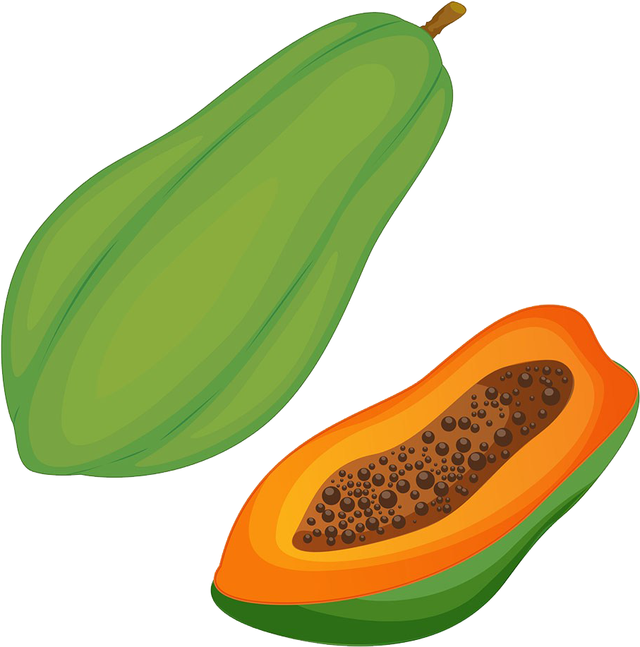 Picture Stock Pawpaw Clip Art Green Transprent Png - Papaya Clipart (1009x1024), Png Download