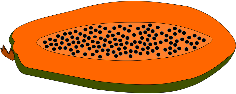Papaya Fruit Food Papaya Papaya Papaya Pap - Papaya Clipart (680x340), Png Download