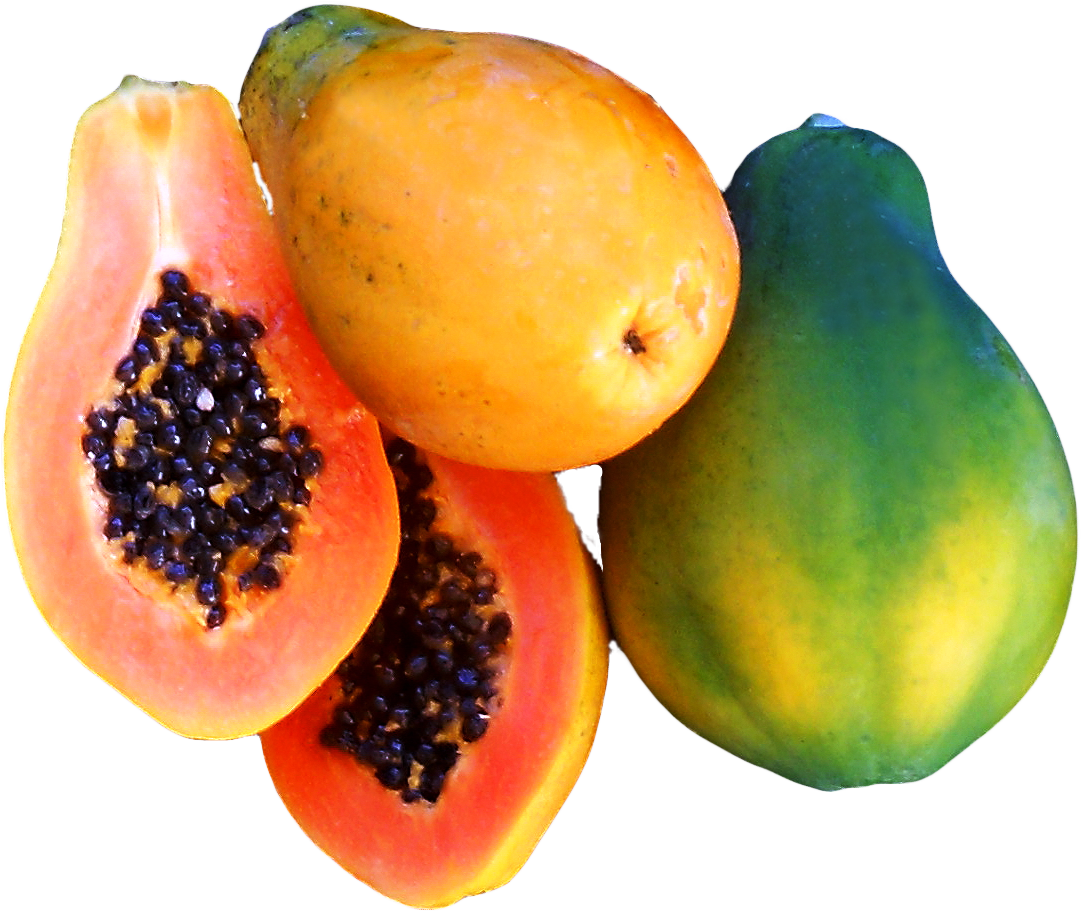 Fresh Papaya Png - Papaya (1275x1105), Png Download