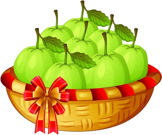 Mango Basket Drawing Illustration - Basket Of Pears Clipart (600x497), Png Download