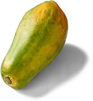 Papaja - Papaya (350x350), Png Download