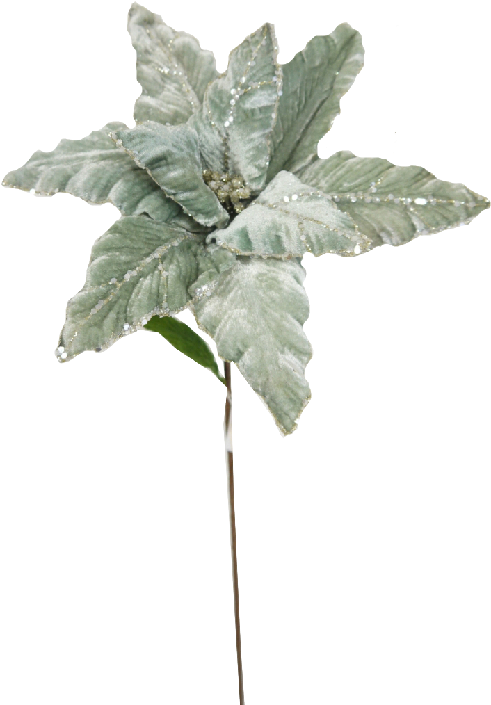 Picks & Stems Translation Missing - Poinsettia Stem (740x1020), Png Download