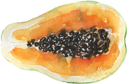 Papaya - - Papaya (480x288), Png Download