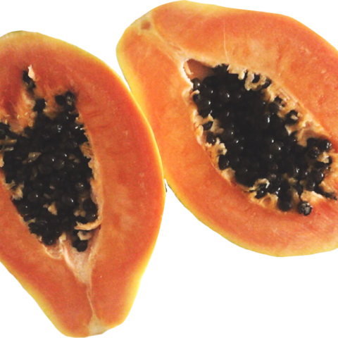 Papaya (480x480), Png Download