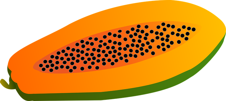 Papaya, Fruit, Vector, Food - Papaya Vector Png (763x340), Png Download