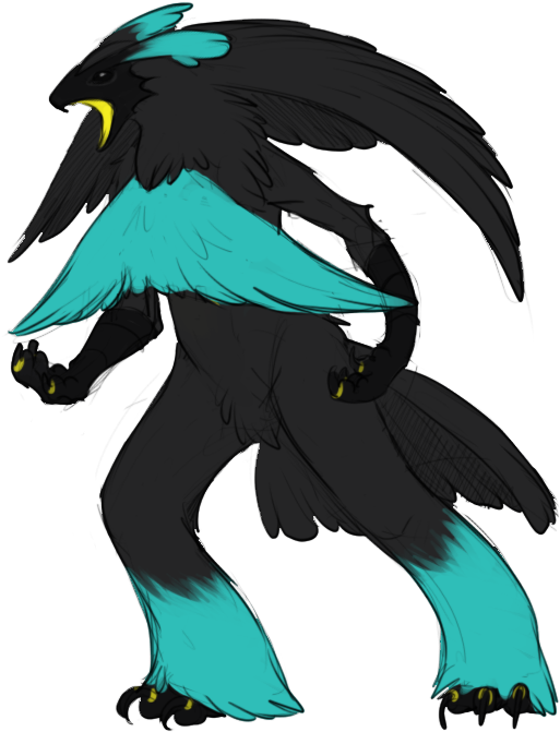 Pokemon Variants- Based On The Magnificent Rifle Bird (600x700), Png Download