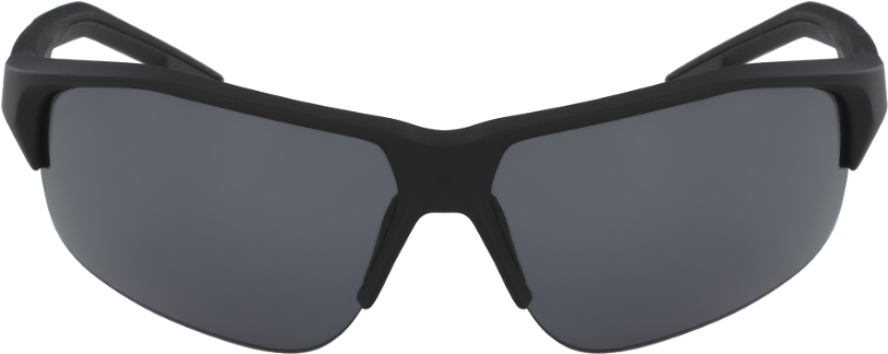 C515s Alpine Thistle (1117x480), Png Download