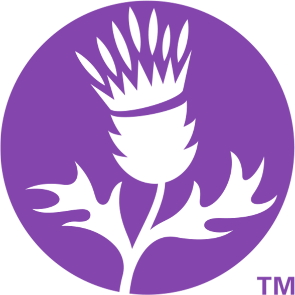 Thistle Png (1000x666), Png Download