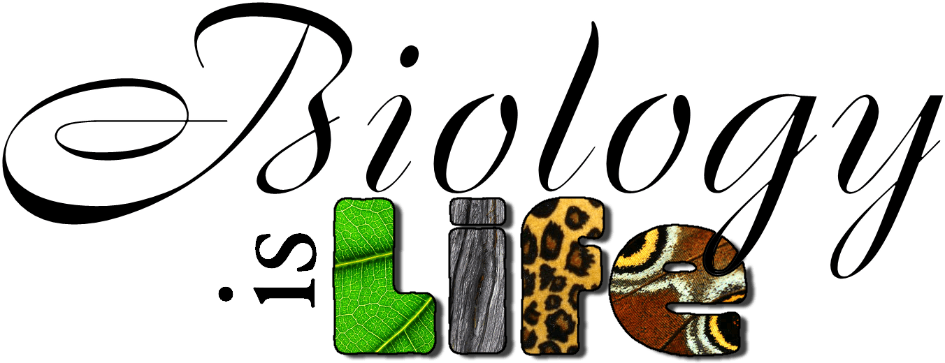 Biology Title Page Clipart (1352x520), Png Download