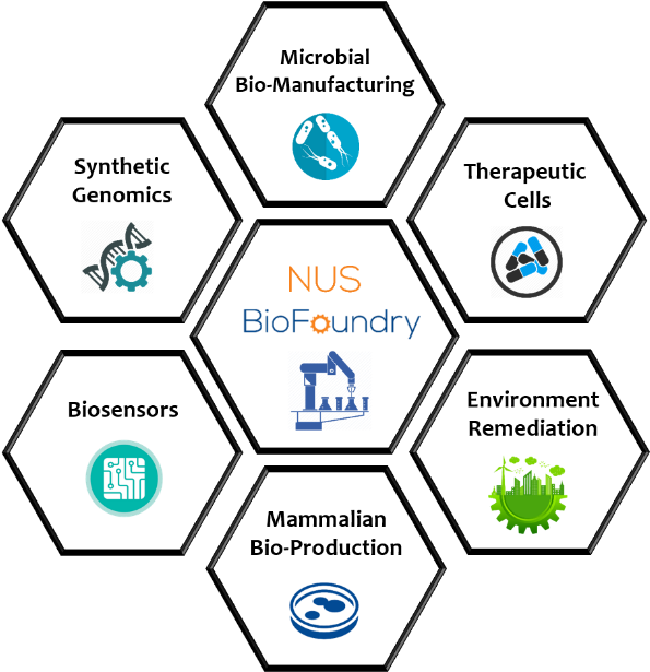 Synthetic Biology (834x616), Png Download