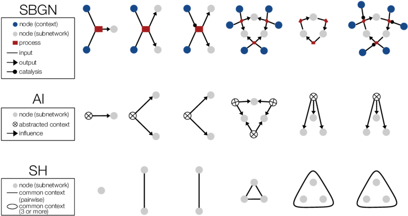 Abstract Influence Representation Of Biological Networks (850x454), Png Download
