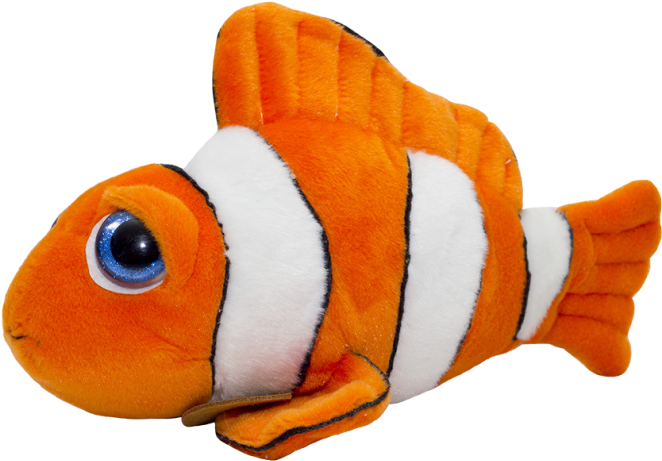 Peixe Palhaço Png (750x750), Png Download