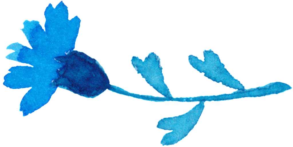 Holiday Card Flower Decoration Vector (1024x514), Png Download