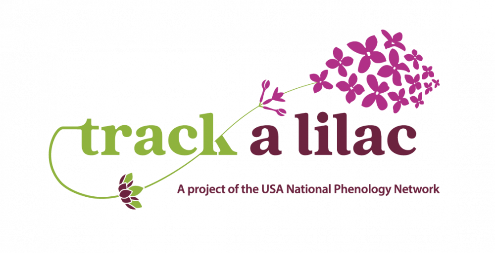 Track A Lilac Logo (1000x513), Png Download