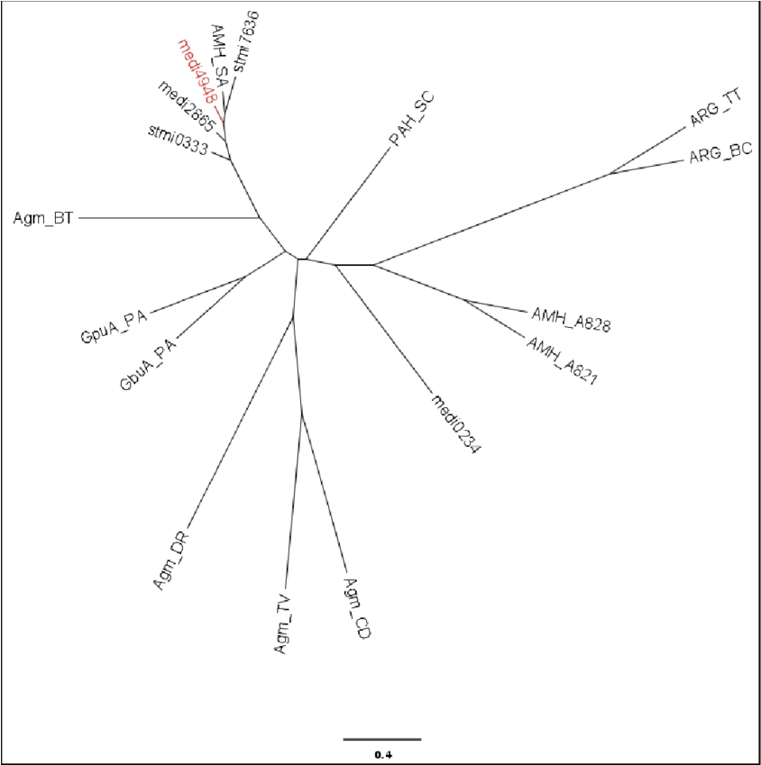 A) Sequence Alignment Of Ureohydrolases (850x848), Png Download