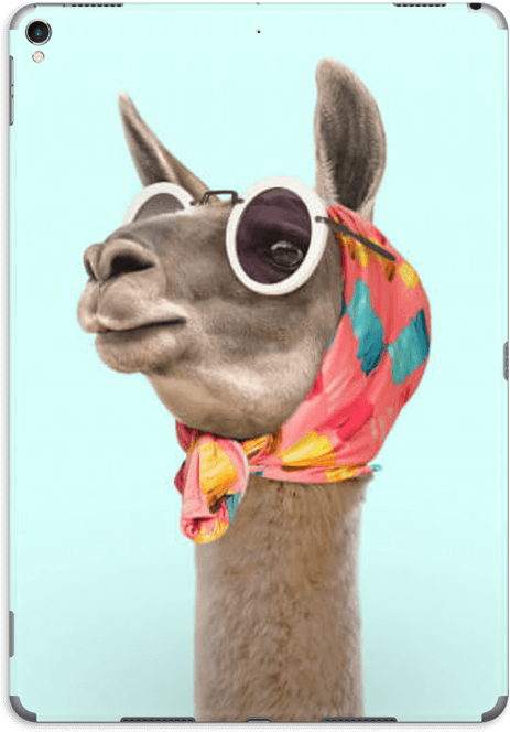 Fashion Llama Skin Ipad Pro (566x800), Png Download
