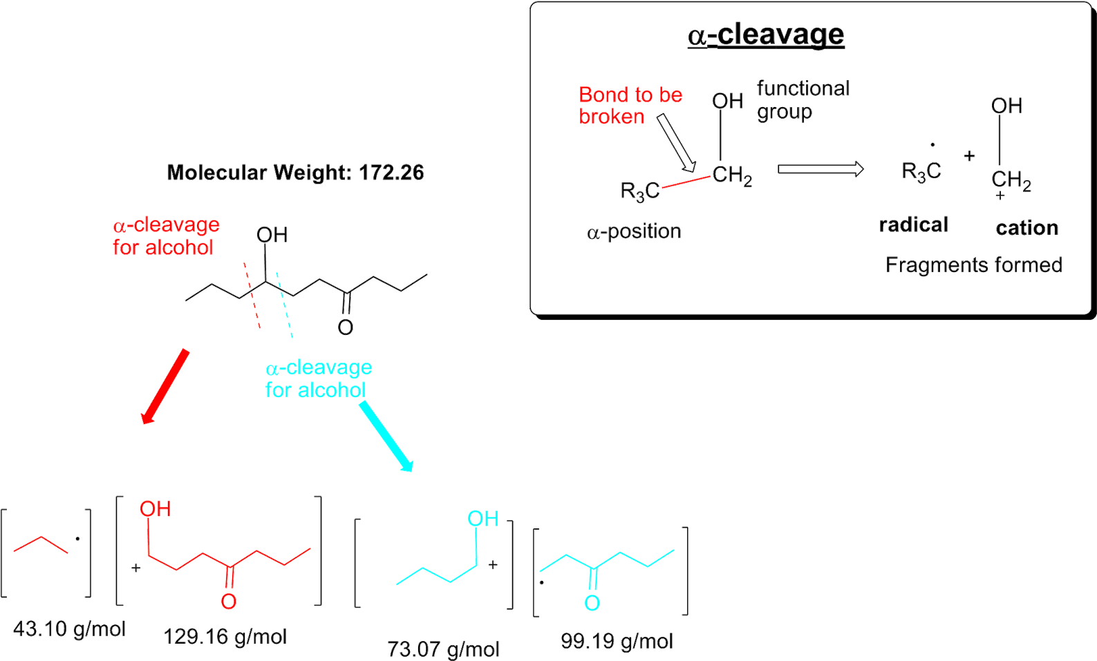 We See That The Overall Molecular Weight For The Compound (1600x970), Png Download