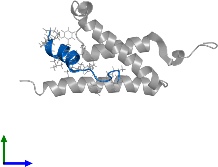 <div Class='caption-body'>pdb Entry 2lxs Contains 1 (800x800), Png Download