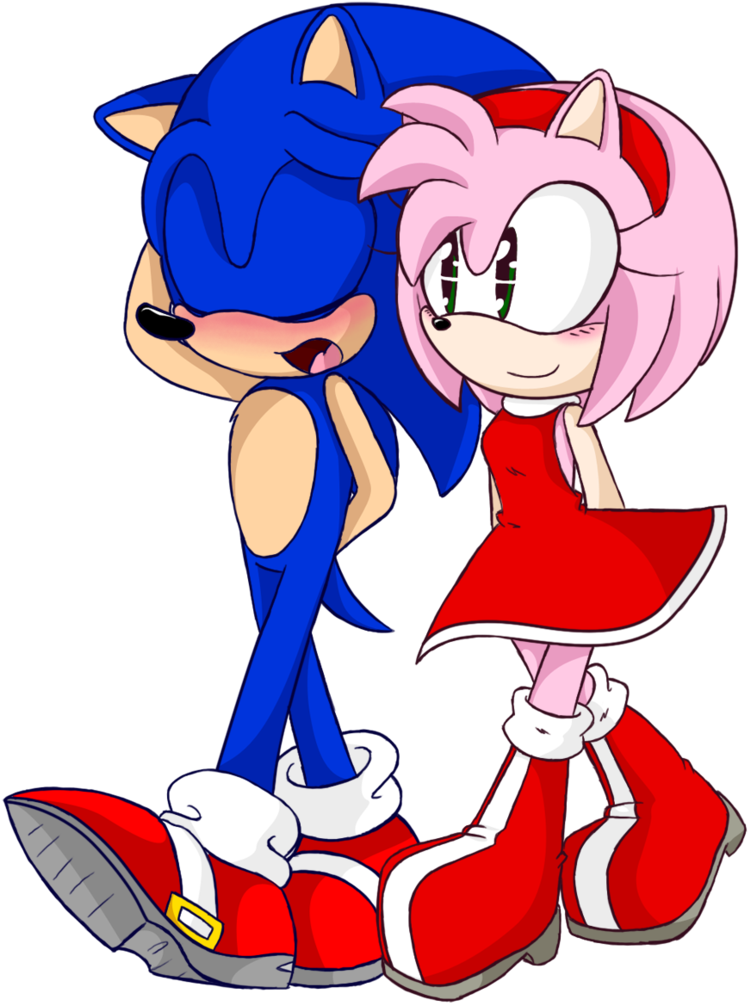Sonic And Amy Images Sonic Has Something To Say To (775x1031), Png Download