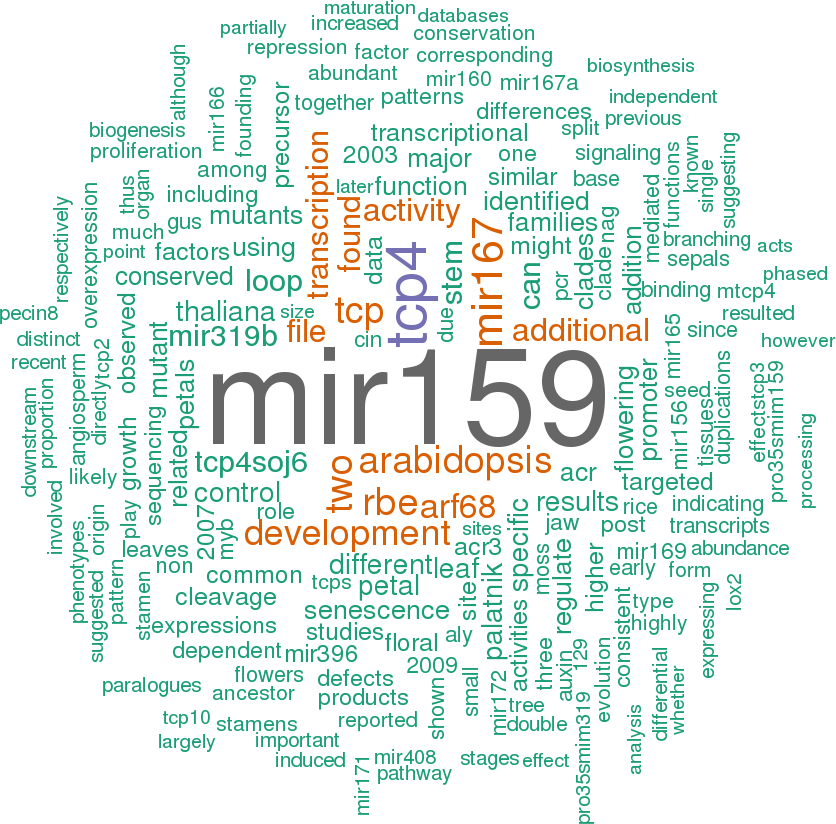 Stem Loop Sequence Ath Mir319a (836x824), Png Download