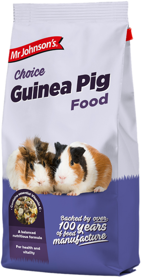 Feeding Advice And Petcare Advice For Guinea Pigs (567x1024), Png Download