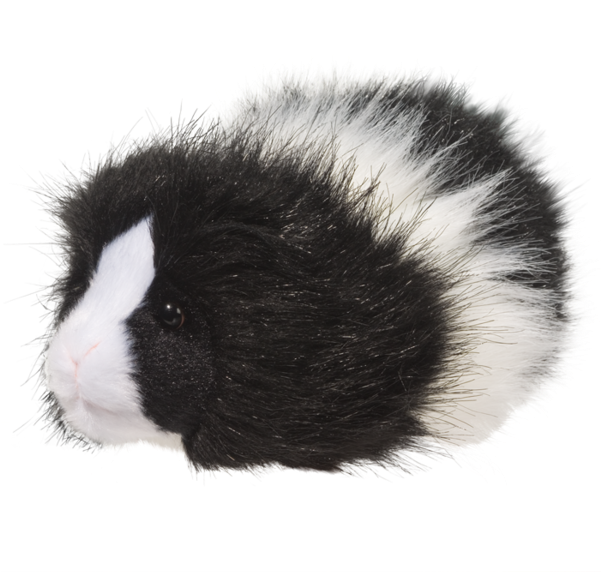 Douglas Angora Guinea Pig (600x600), Png Download