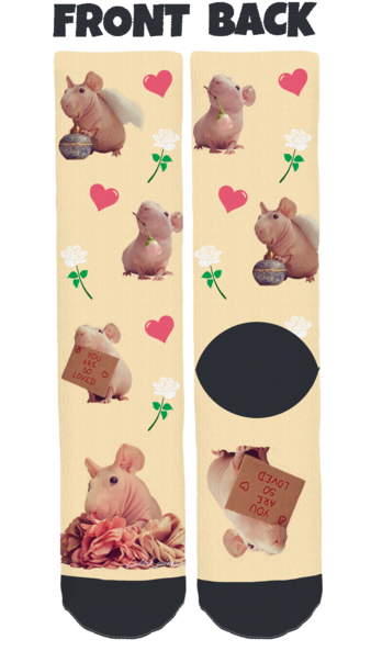 Ludwik The Guinea Pig Crew Socks (600x600), Png Download