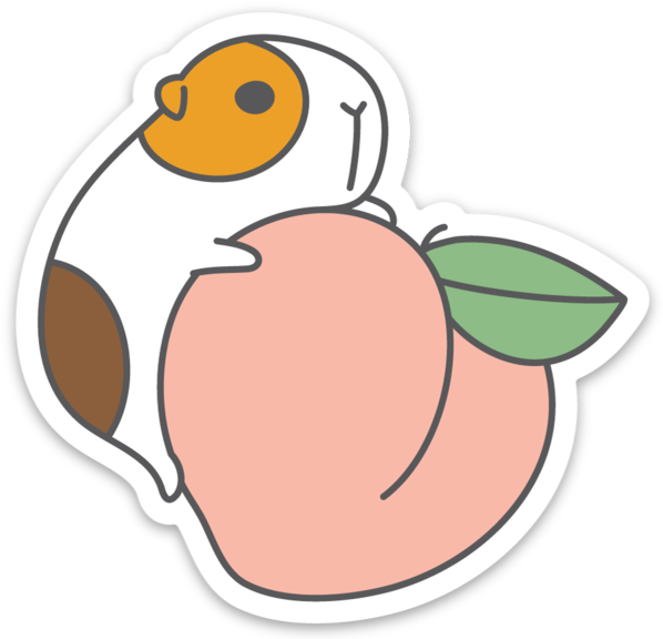 G U I N E A Pig And Peach Vinyl Sticker (720x720), Png Download
