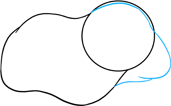 How To Draw Guinea Pig (680x678), Png Download