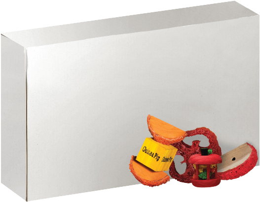 Guinea Pig Png (750x750), Png Download