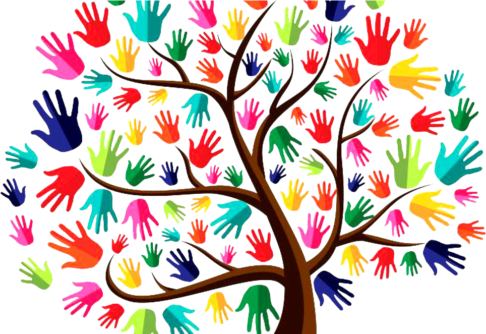 Ucf Vp For Equity, Inclusion & Diversity (1080x661), Png Download