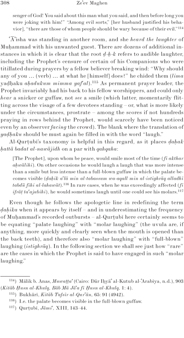 308 Ze Ev Maghen Senger Of God You Said About This (960x1355), Png Download