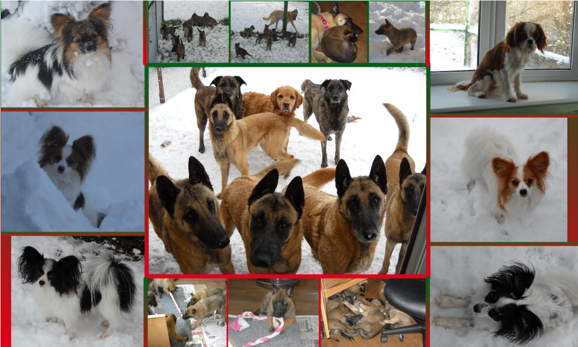 22 Pm 45317 Captain Oreo 6/16/2012 (1300x804), Png Download