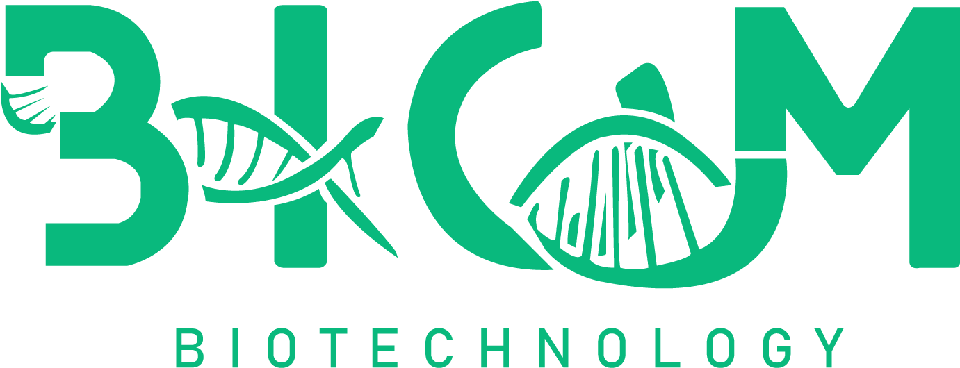 Logo Creative Branding Designer Vector Logo Album Artwork (1440x1080), Png Download