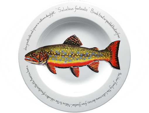 Brook Trout Rimmed Pasta Bowl (683x451), Png Download