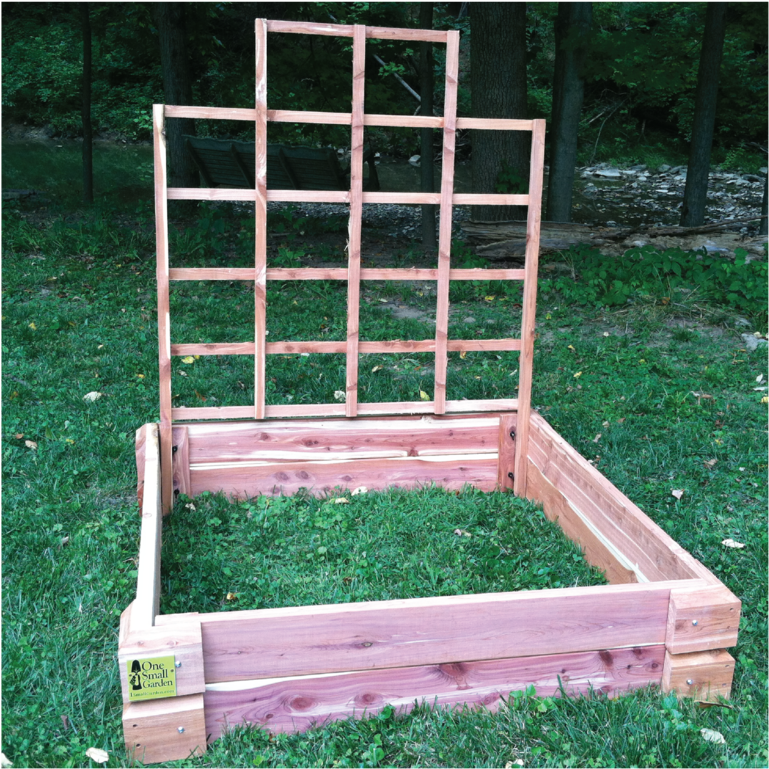 Trellis Pic Front 37 (1000x1010), Png Download