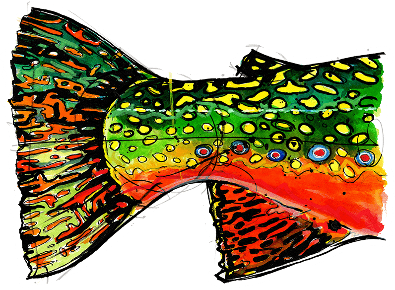Ryan Keene Brook Trout Tail Sticker (800x800), Png Download