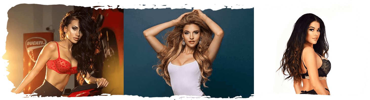 Monika Wojtunik (1463x398), Png Download