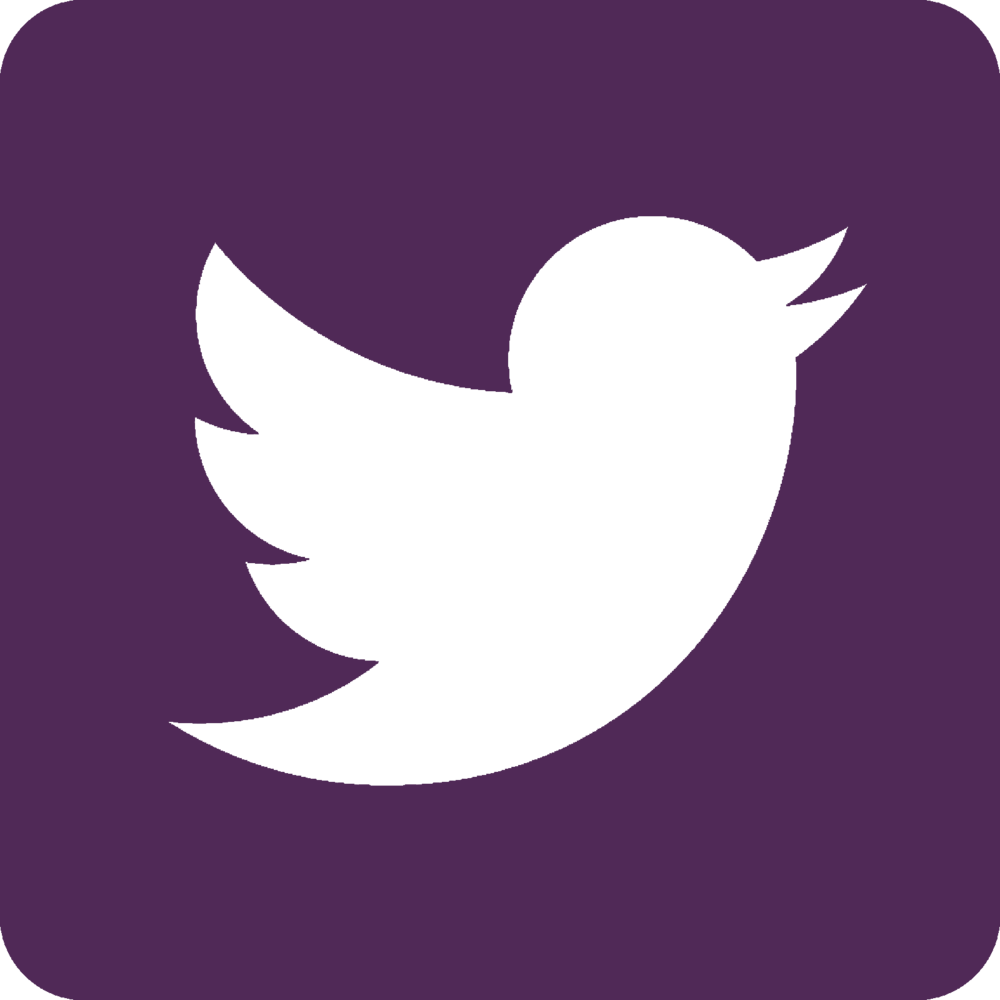 Twitter - Purple (1000x1000), Png Download