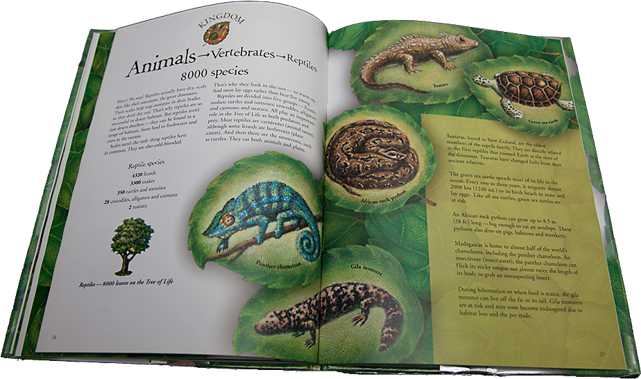 Species Children's Book Review (949x576), Png Download